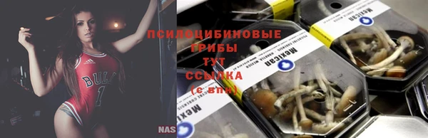 амф Белокуриха