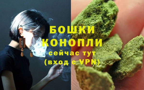 амф Богданович