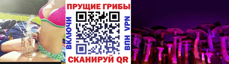 Псилоцибиновые грибы мицелий  Красноперекопск 